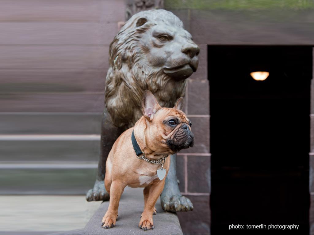 The Mansion On O Street Hotel Washington Bagian luar foto